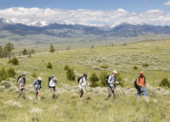 Wild Montana: Uniting lovers of open land for a common cause